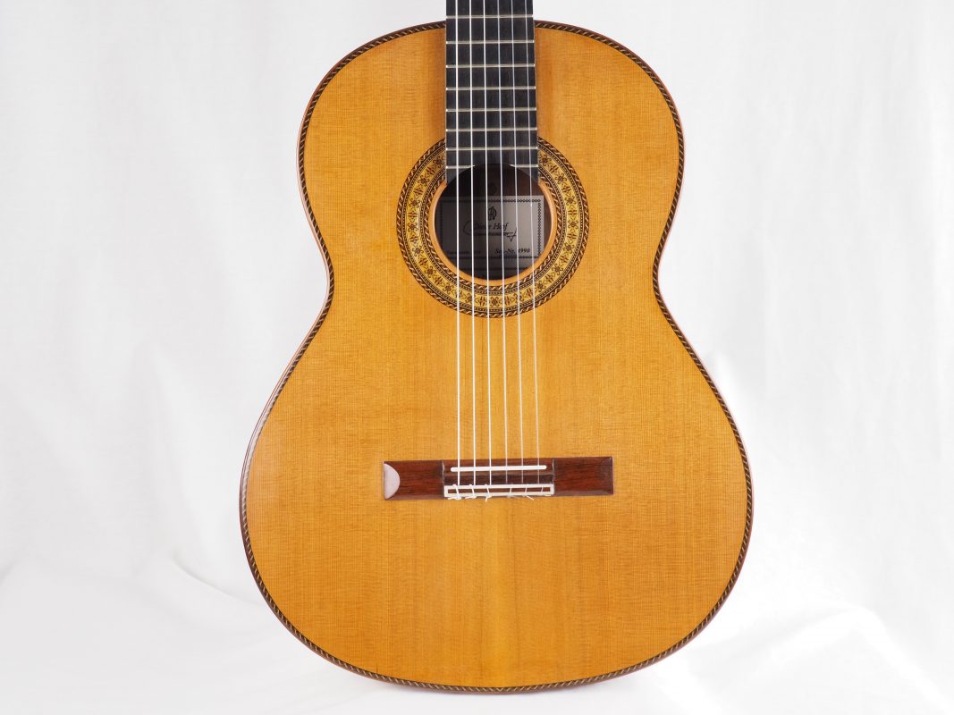 Classical concert guitar