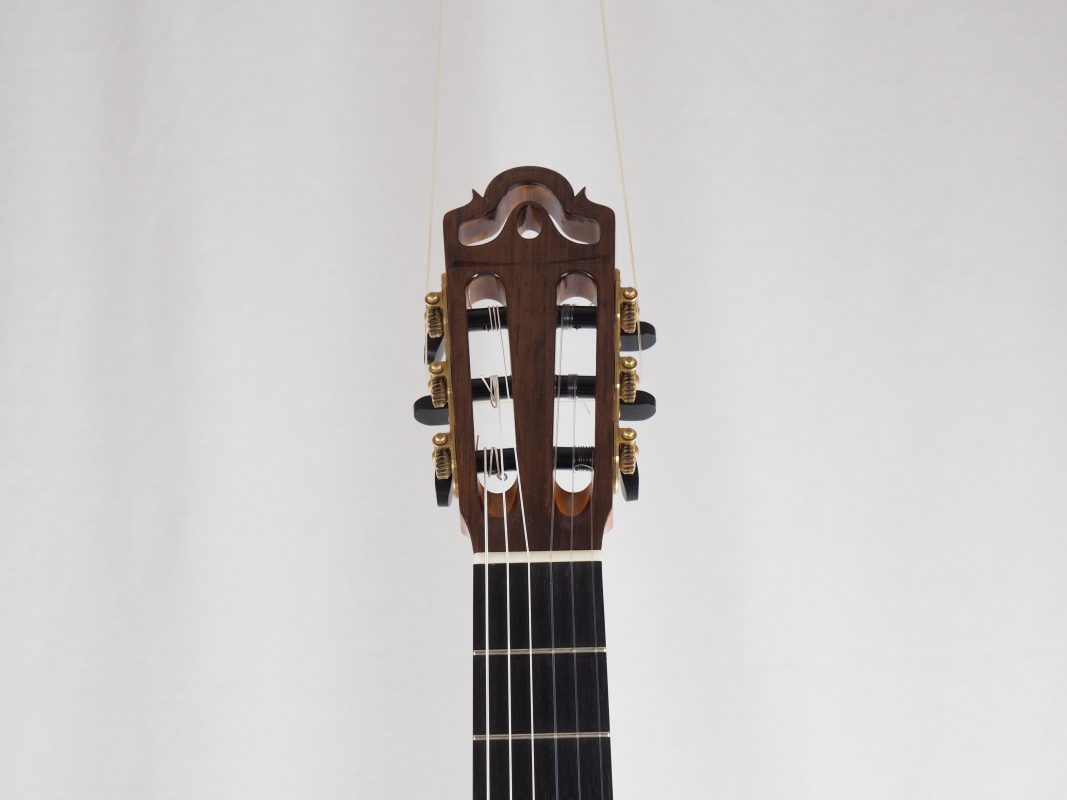 Classical concert guitar