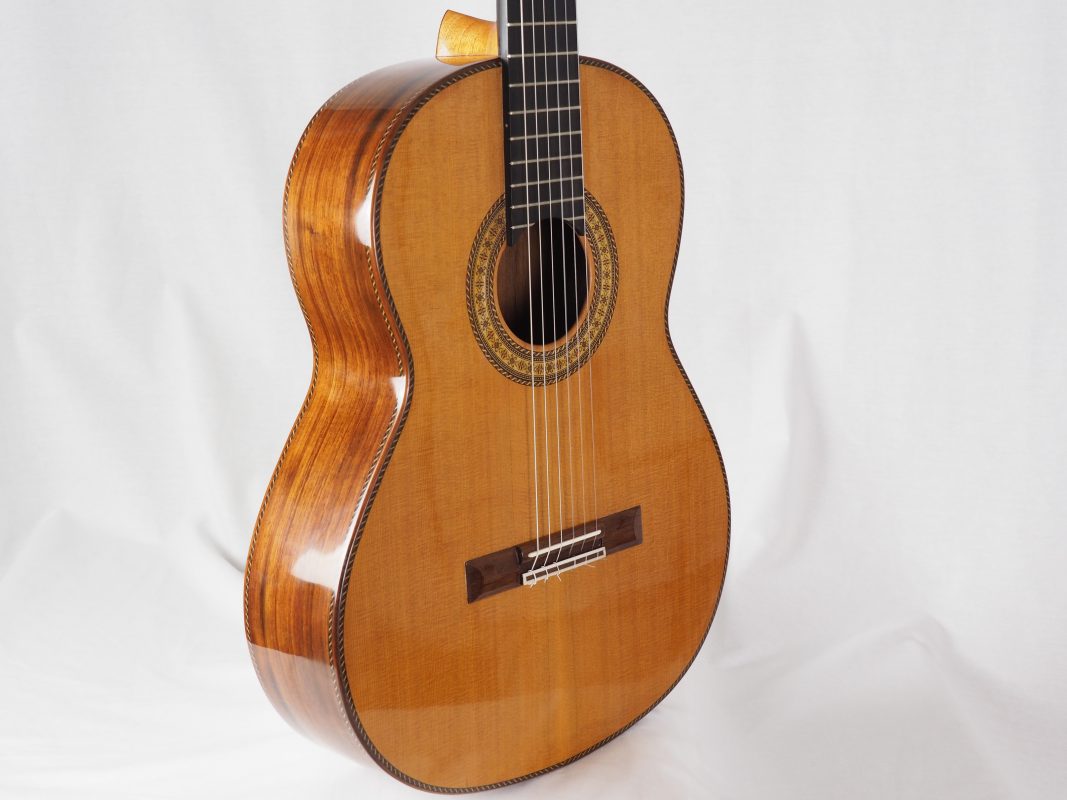 Classical concert guitar