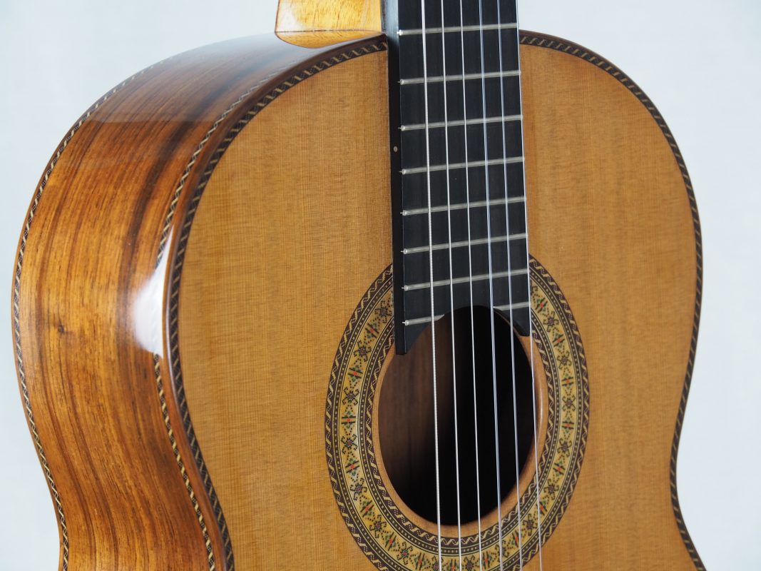 Classical concert guitar