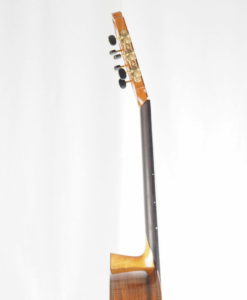 Luthier Dieter Hopf classical guitar Portentosa Evolucion