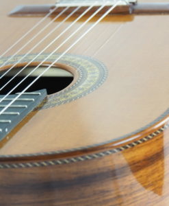 Luthier Dieter Hopf Portentosa Evolucion