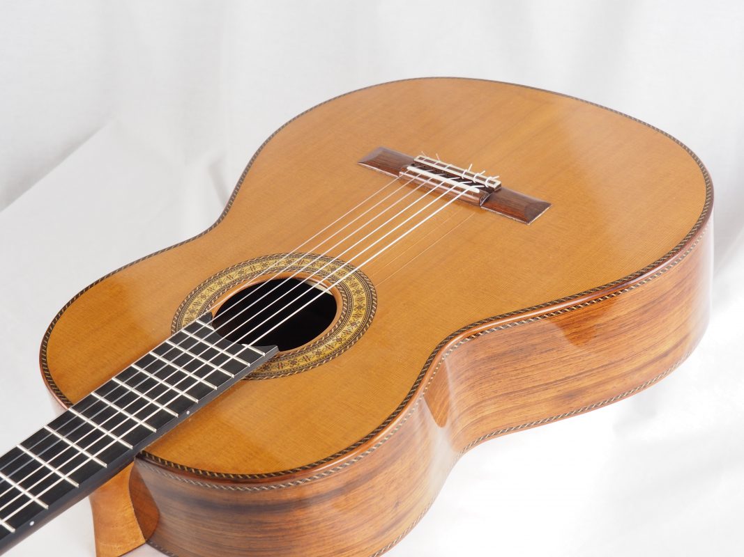 Classical concert guitar