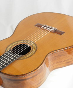 Luthier Dieter Hopf Portentosa Evolucion 2016 No. 4990 -01