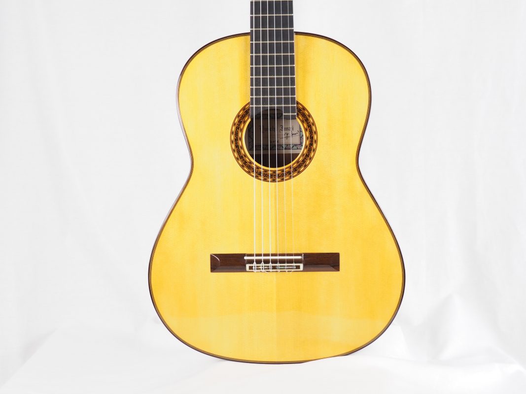 Classical concert guitar