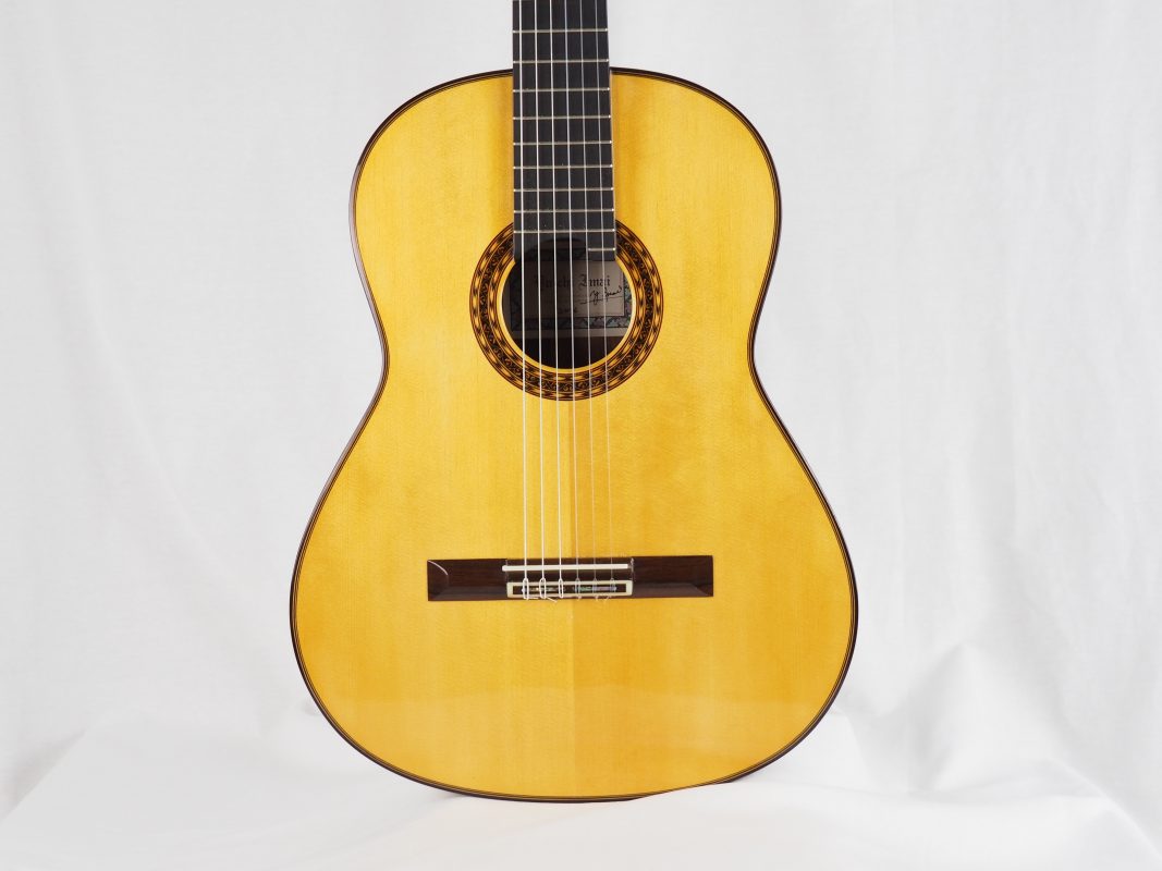 Classical concert guitar