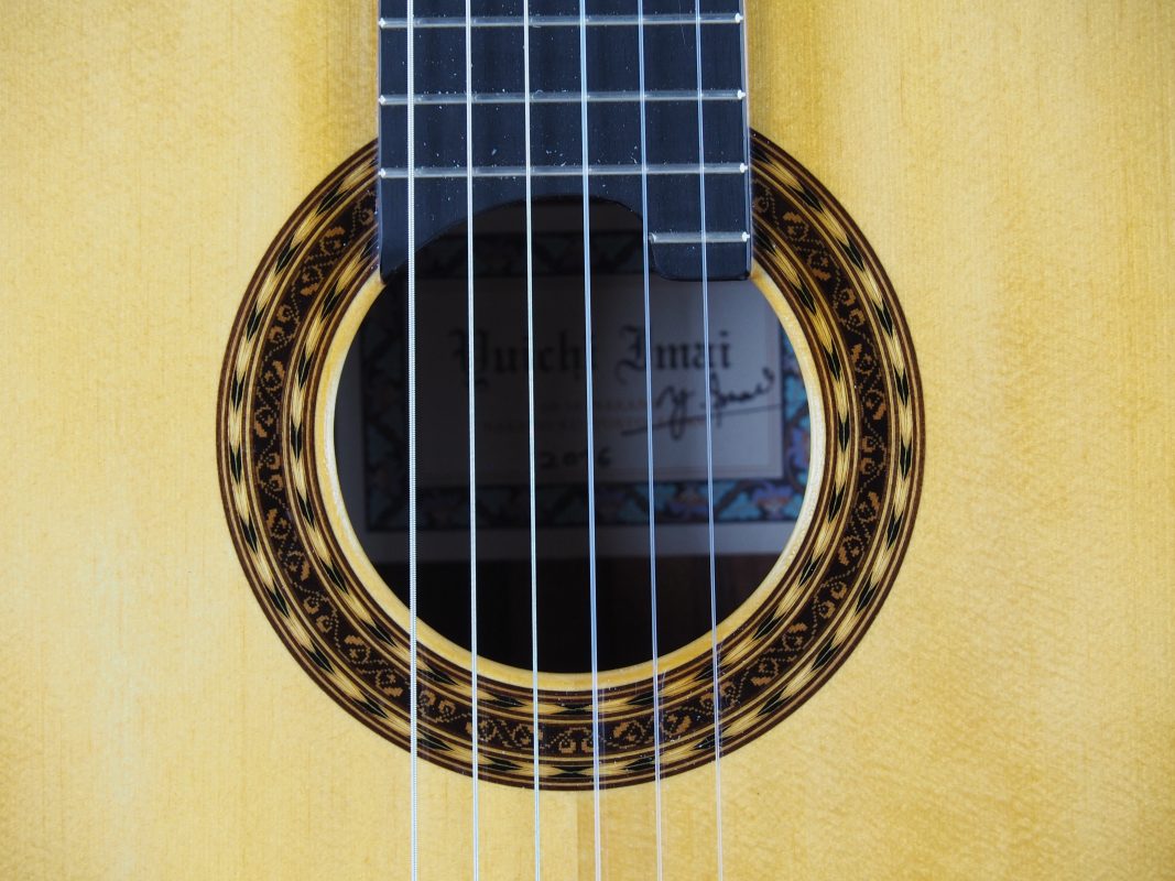 Classical concert guitar