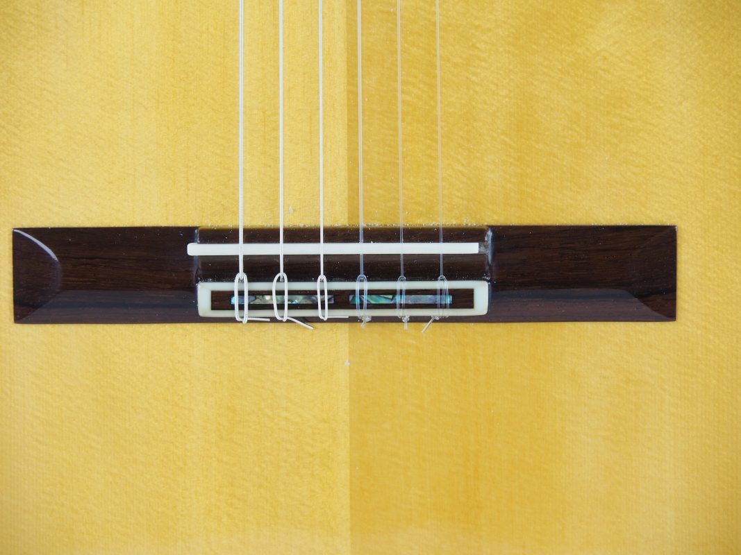 Classical concert guitar