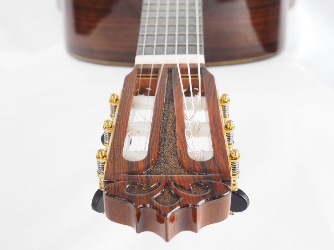 Classical concert guitar