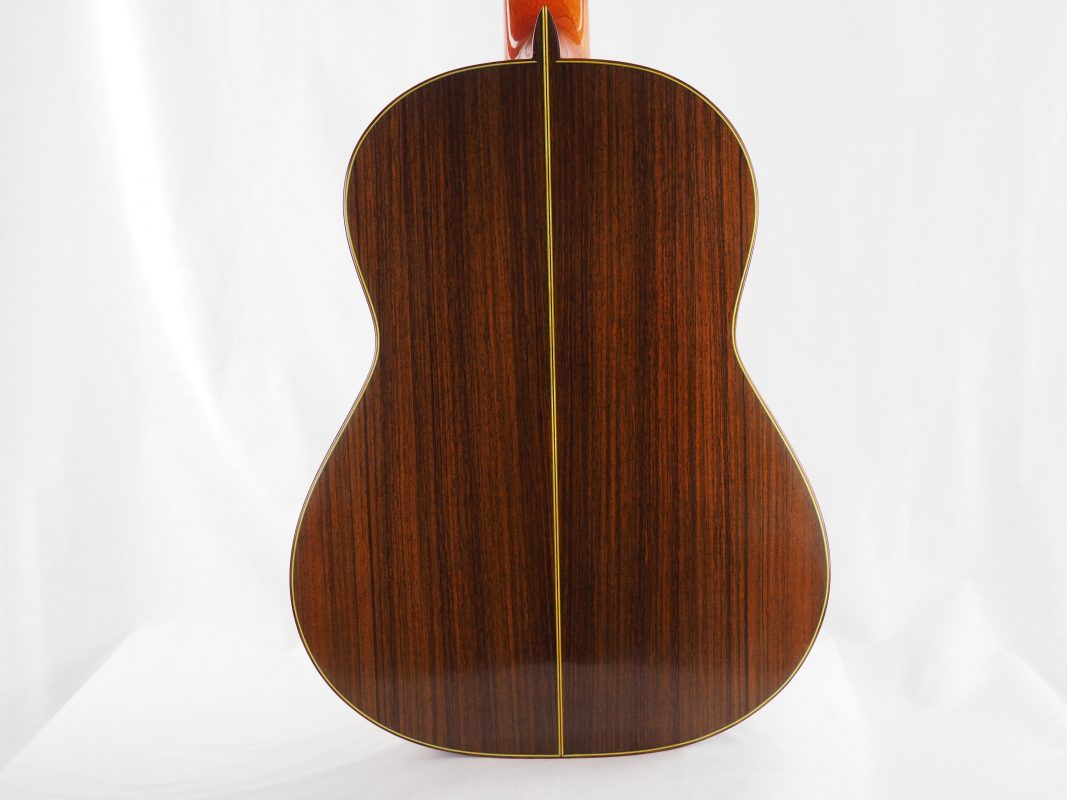 Classical concert guitar