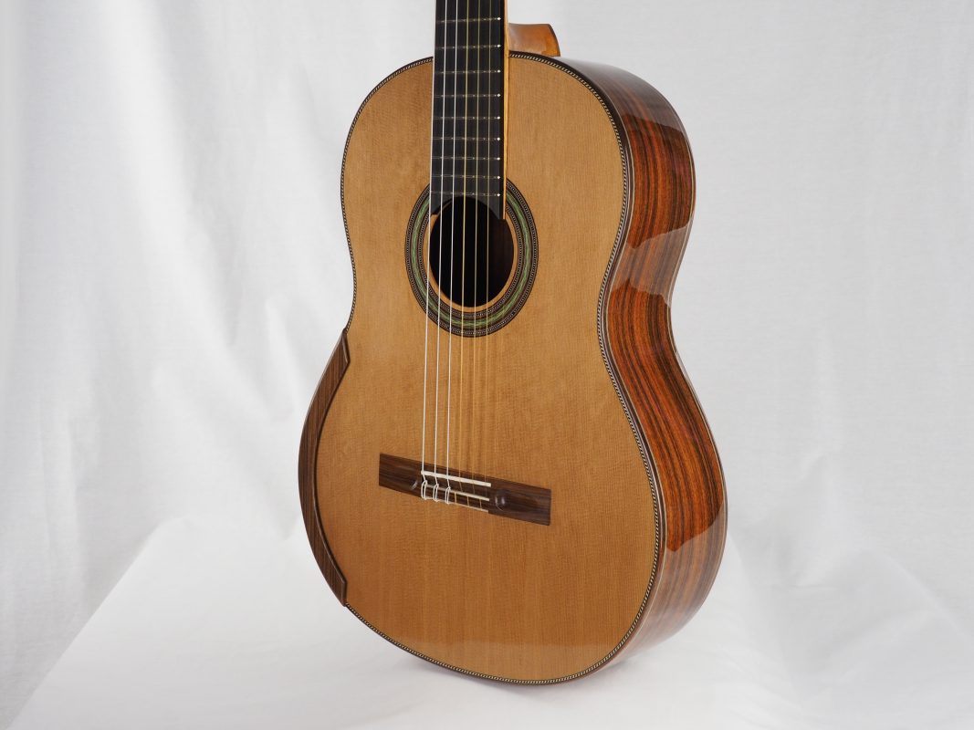 Classical concert guitar