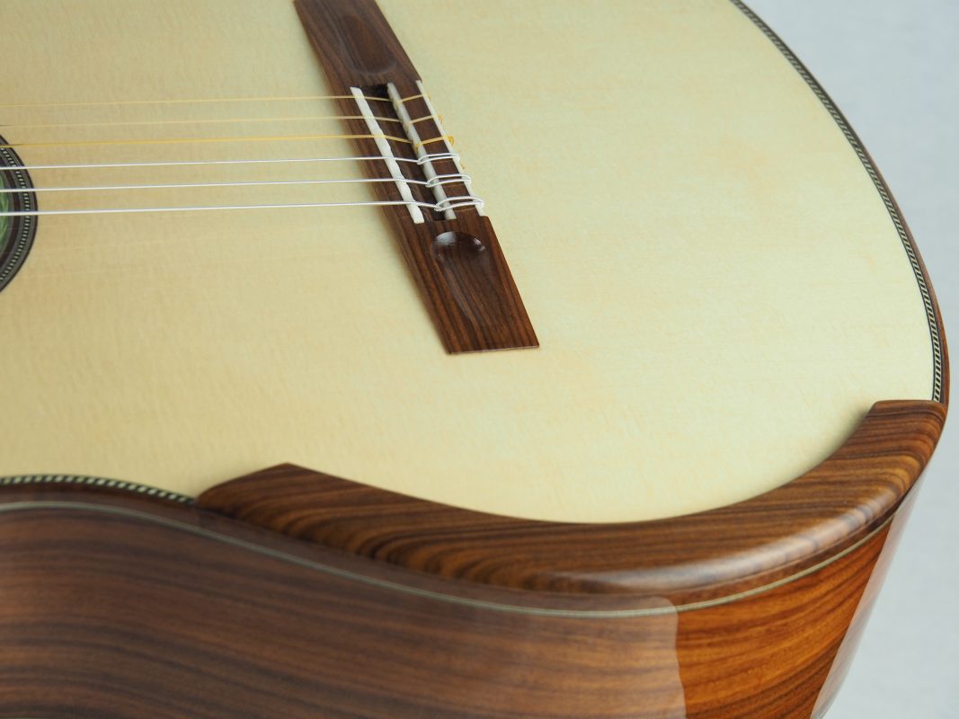 Classical concert guitar