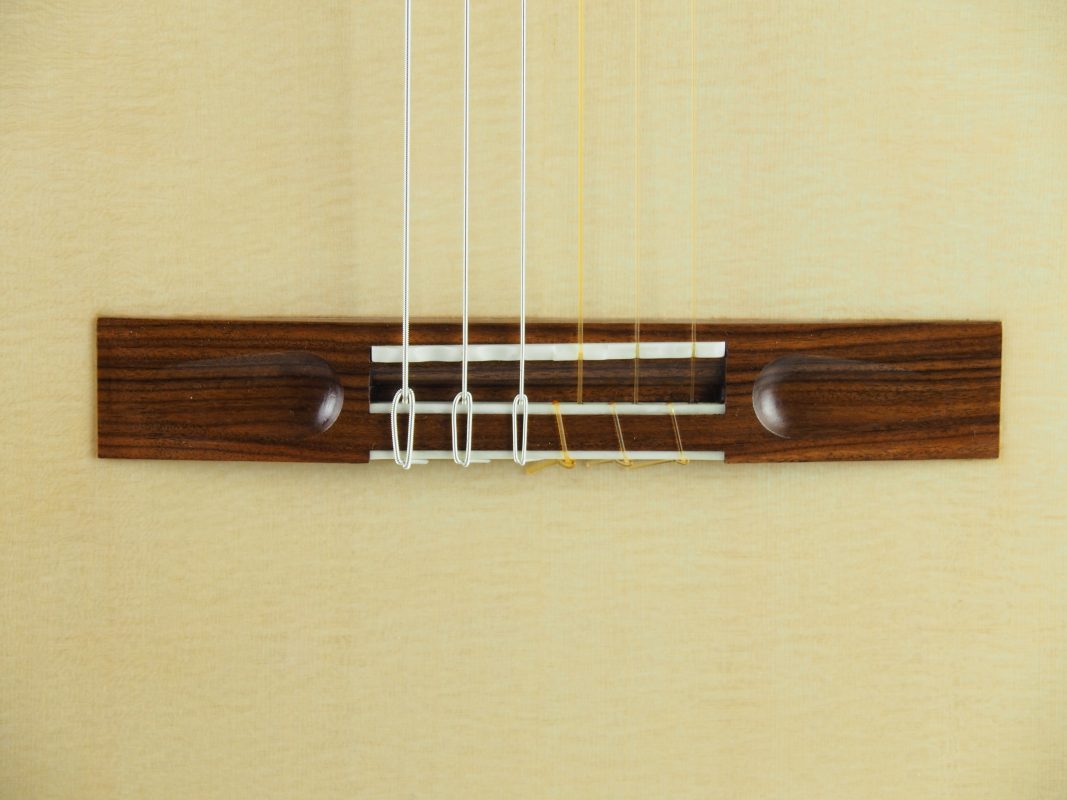 Classical concert guitar