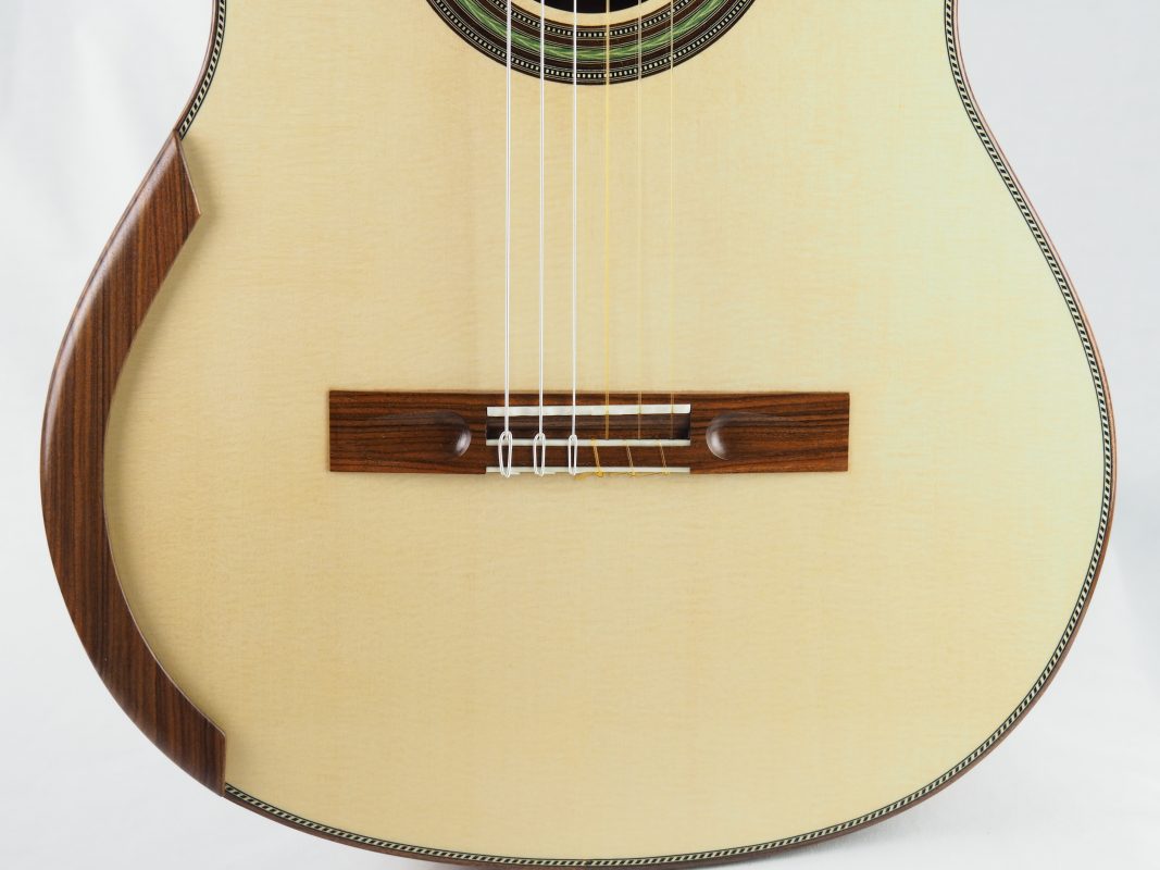 Classical concert guitar