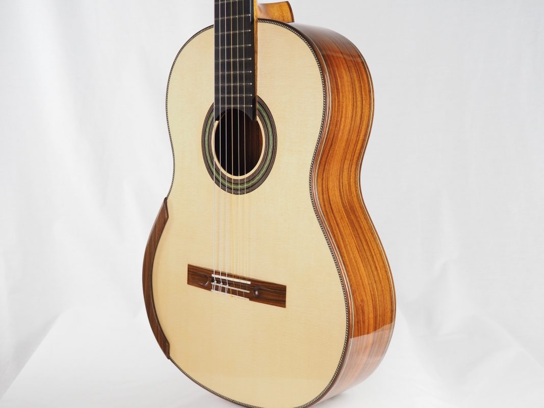 Classical concert guitar