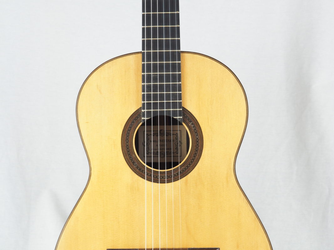 Classical concert guitar