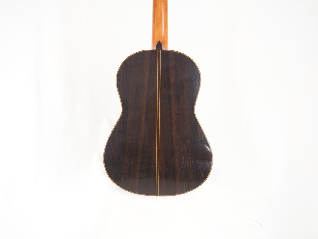 Classical concert guitar