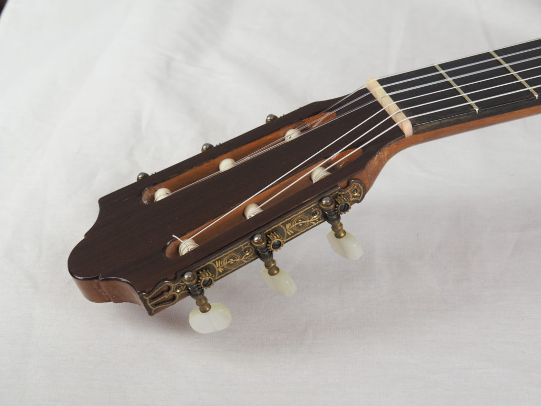 Classical concert guitar