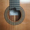 classical concert guitar of the luthier John Price - Australie - Table in cedar and back and sides in South American rosewood, lattice. Powerful sound