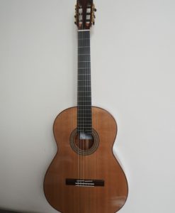 classical concert guitar of the luthier John Price - Australie - Table in cedar and back and sides in South American rosewood, lattice. Powerful sound