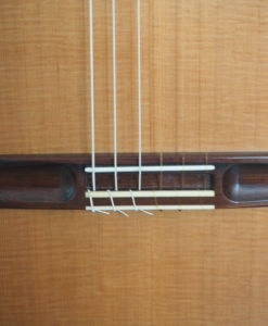 Robin Moyes classical guitar luthier