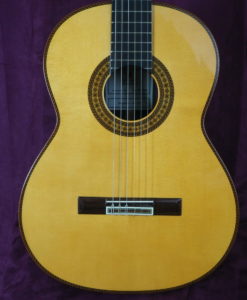classical guitar dieter Hopf progresso
