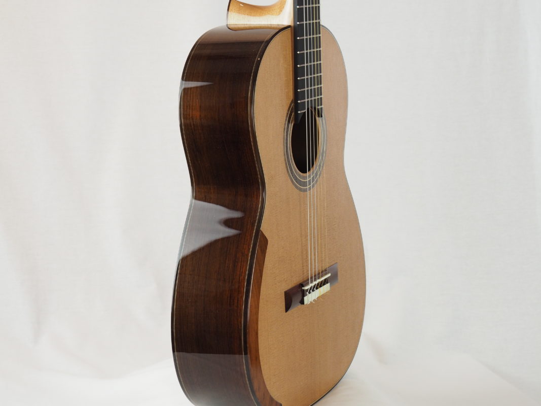 Classical concert guitar