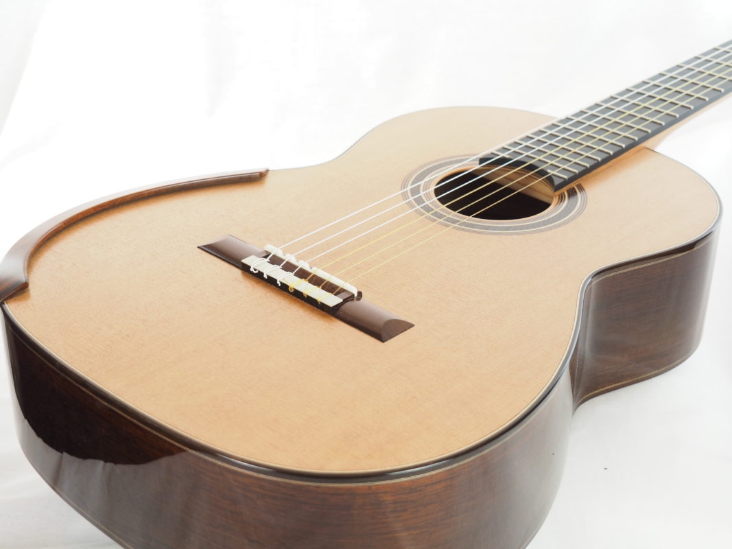 Classical concert guitar