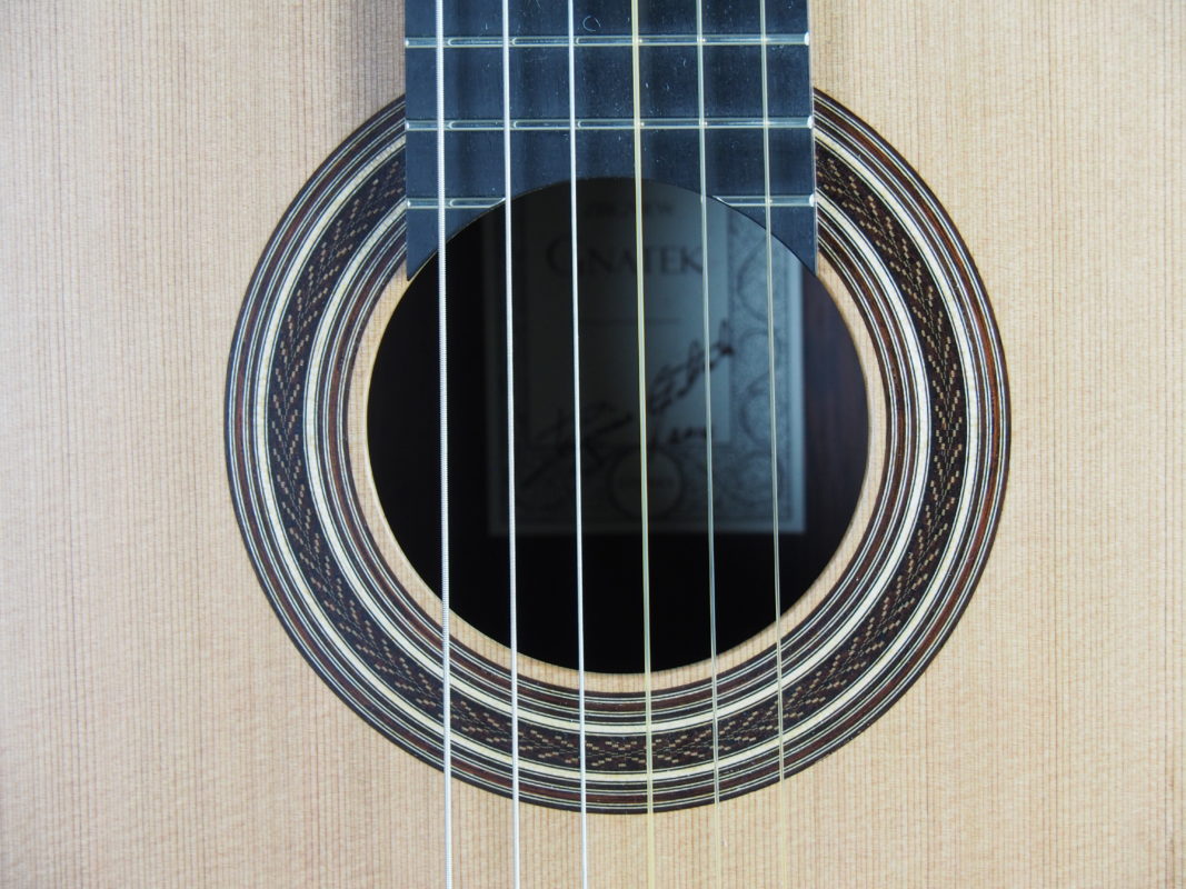 Classical concert guitar