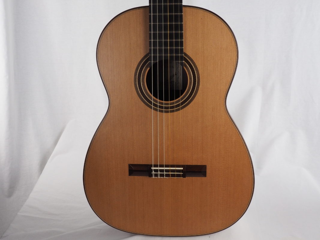 Classical concert guitar