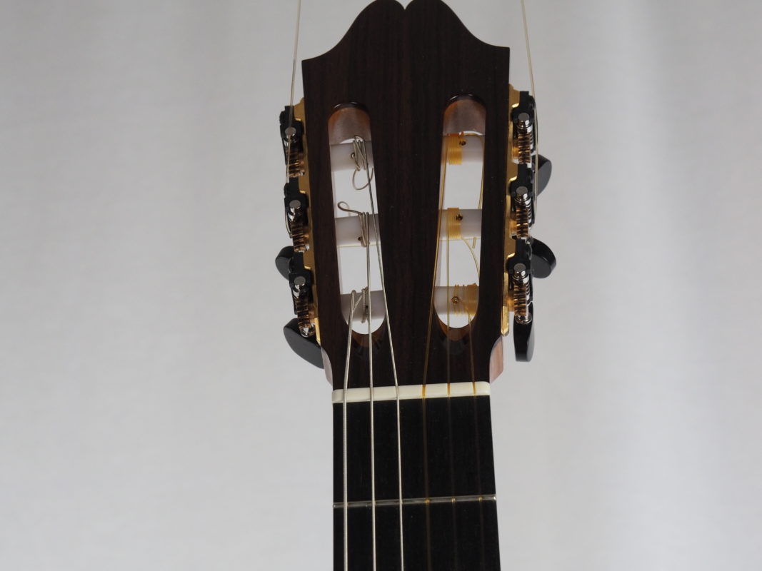 Classical concert guitar