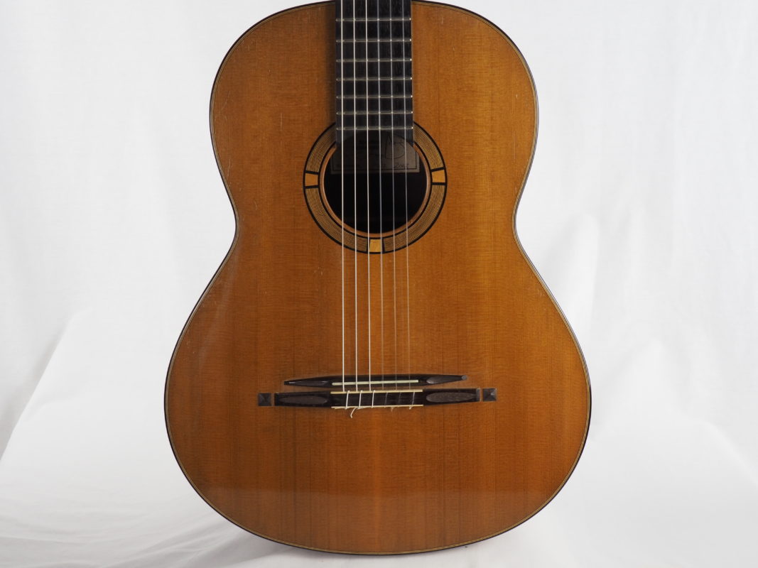 Classical concert guitar