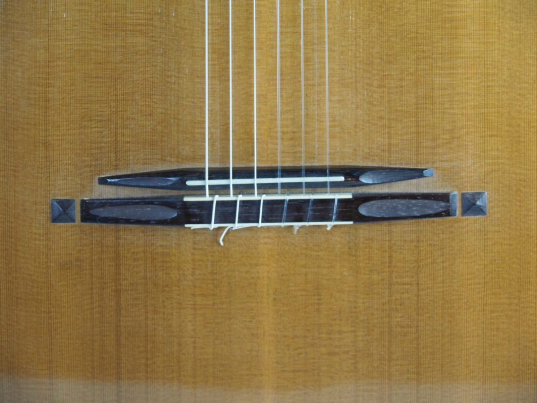 Classical concert guitar