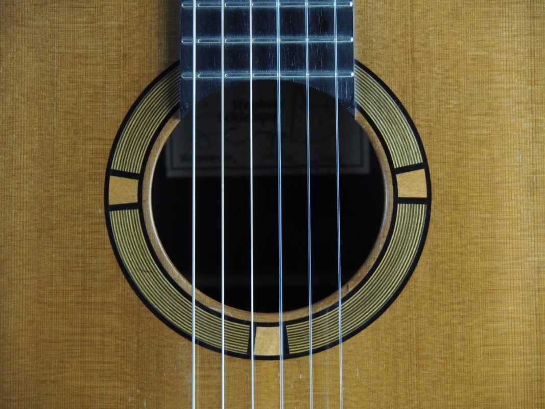 Classical concert guitar