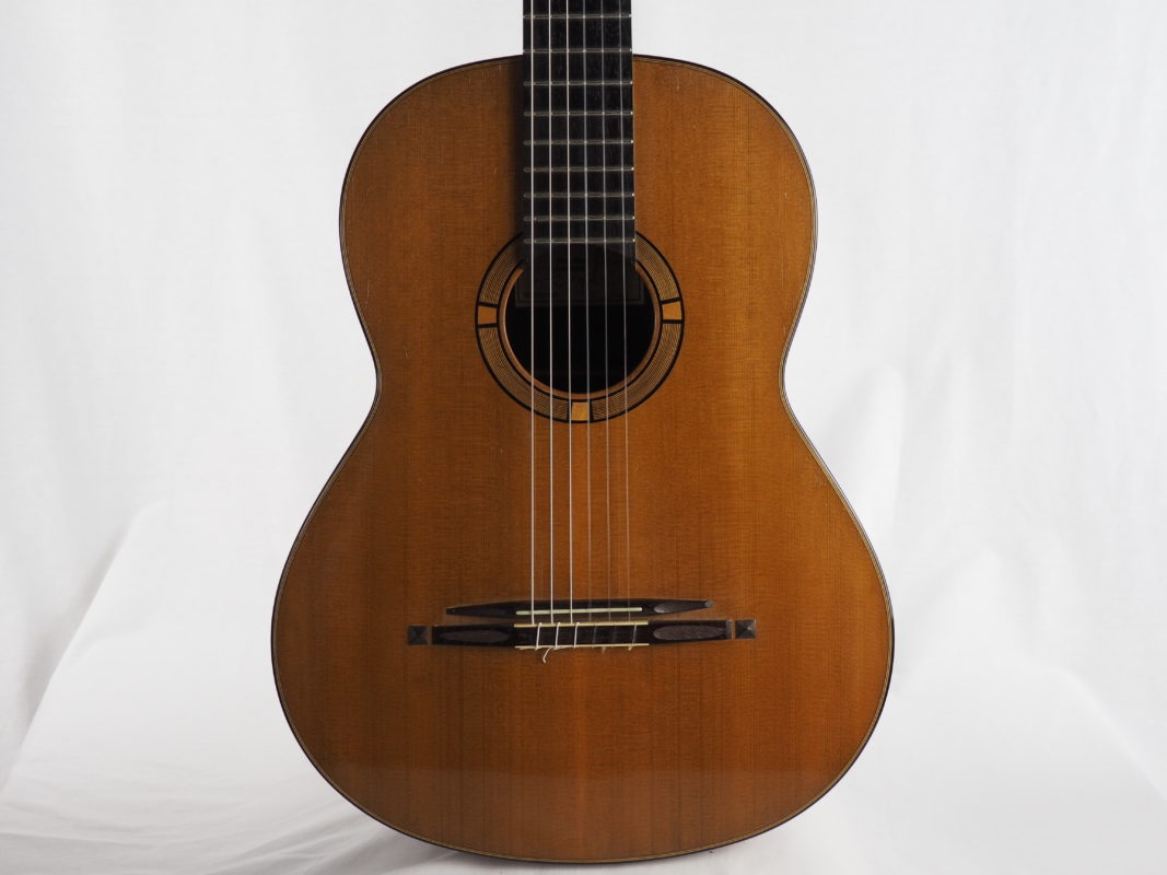 Classical concert guitar