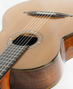 Stephan Schlemper Ebanista guitar 1
