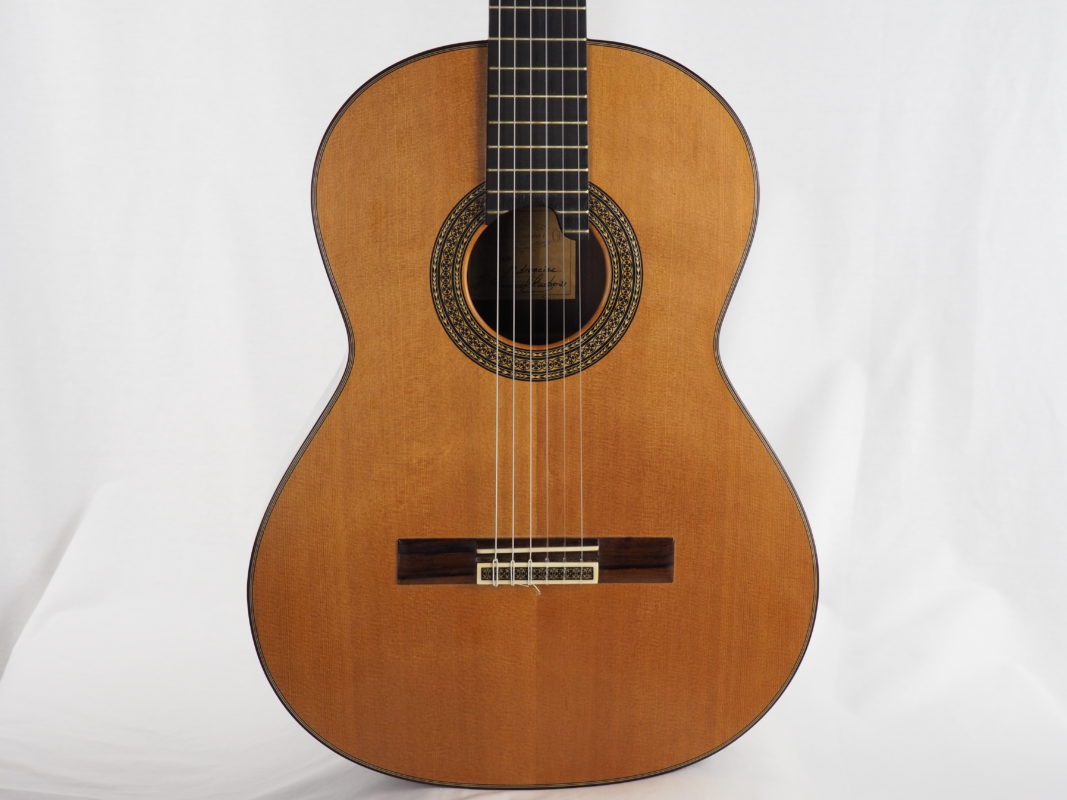 Classical concert guitar