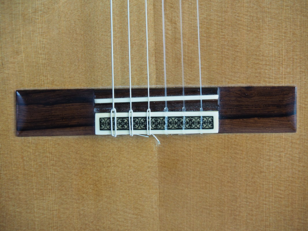 Classical concert guitar