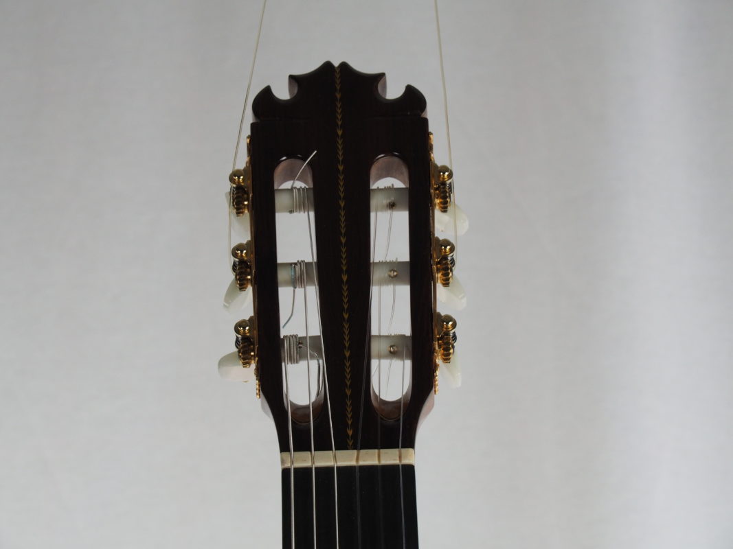 Classical concert guitar