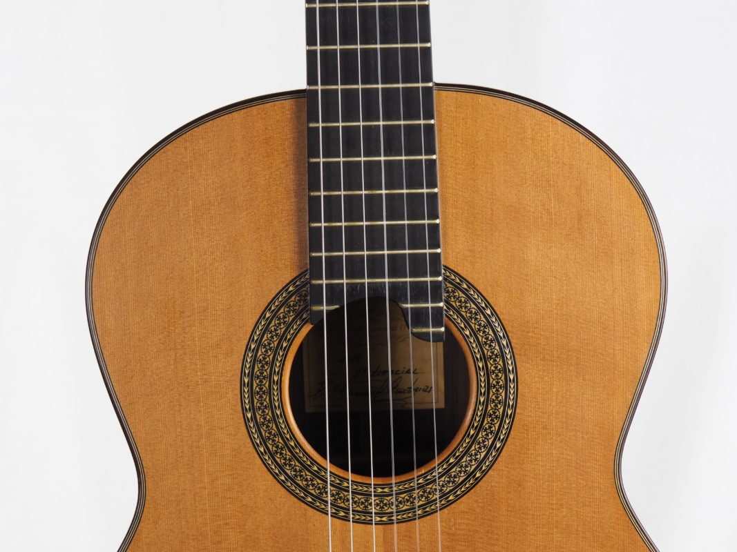 Classical concert guitar