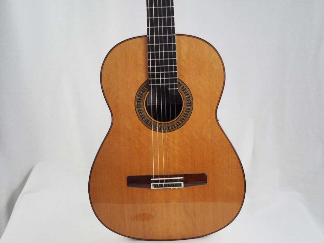 Classical concert guitar