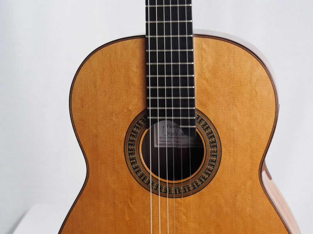 Classical concert guitar