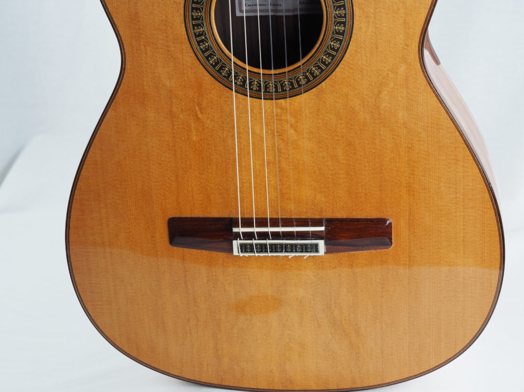 Classical concert guitar