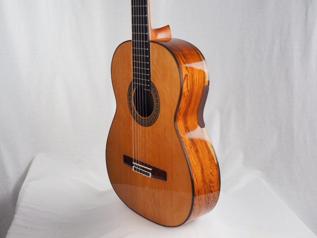 Classical concert guitar