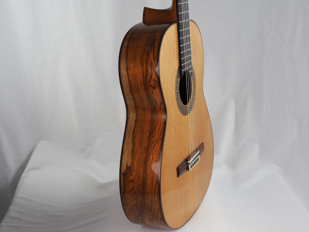 Classical concert guitar