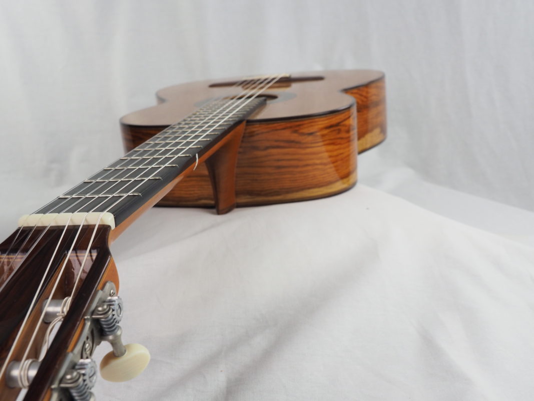 Classical concert guitar