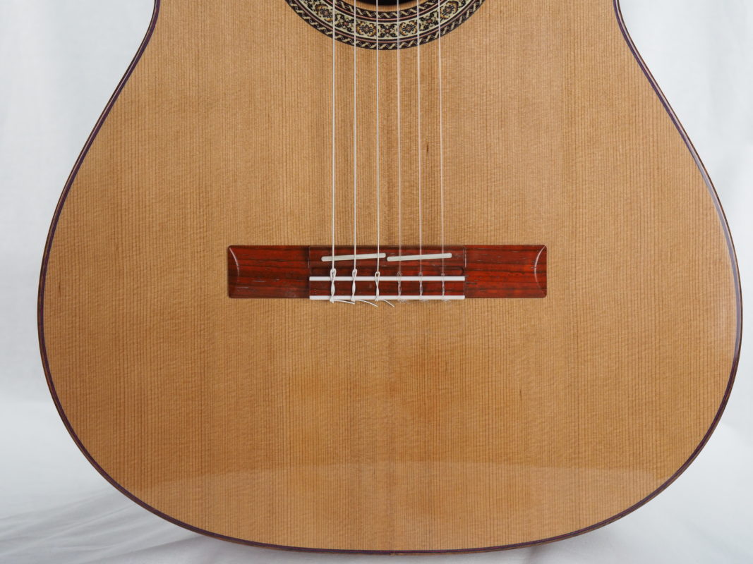 Classical concert guitar