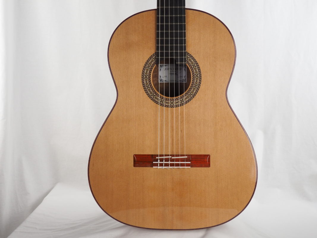 Classical concert guitar