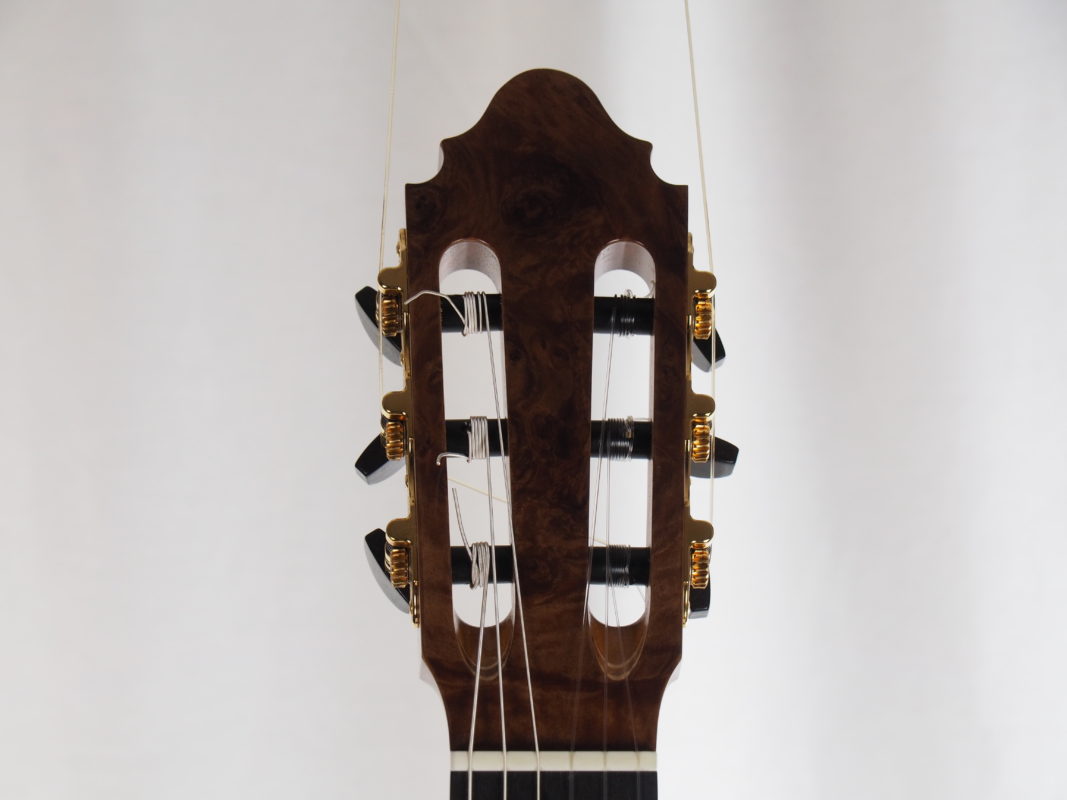 Classical concert guitar