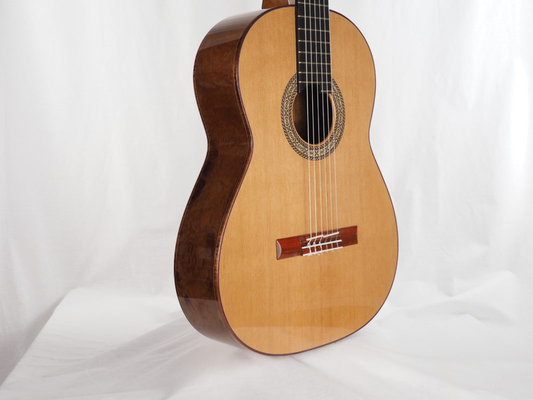 Classical concert guitar